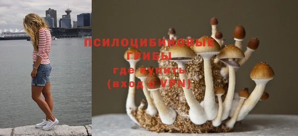 Альфа ПВП Алексин