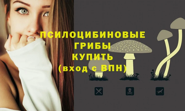 Альфа ПВП Алексин
