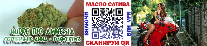 Дистиллят ТГК Wax  кракен ссылки  Новоульяновск 